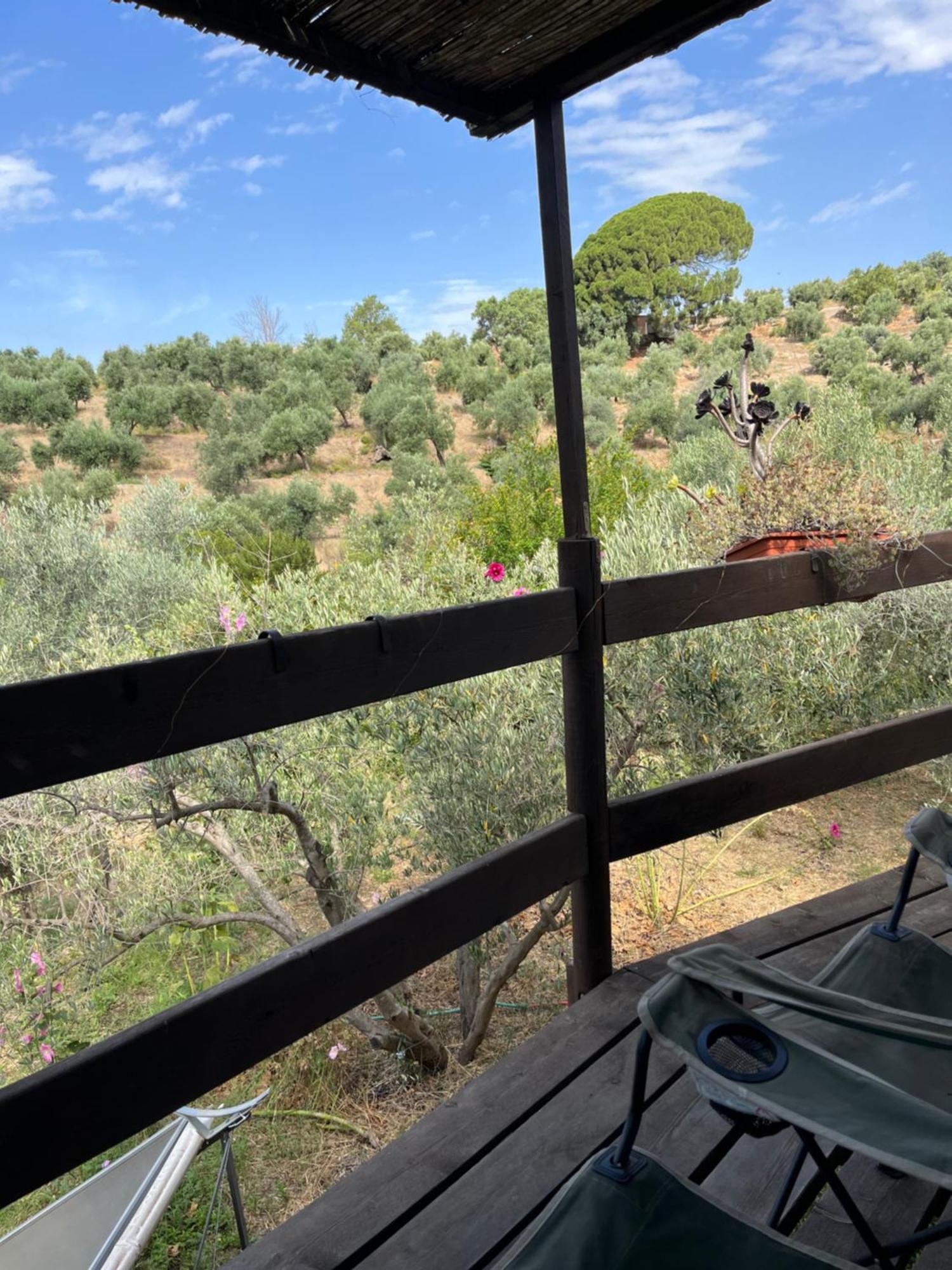 Cortijo Alhijra Big Yourte Lanjarón المظهر الخارجي الصورة