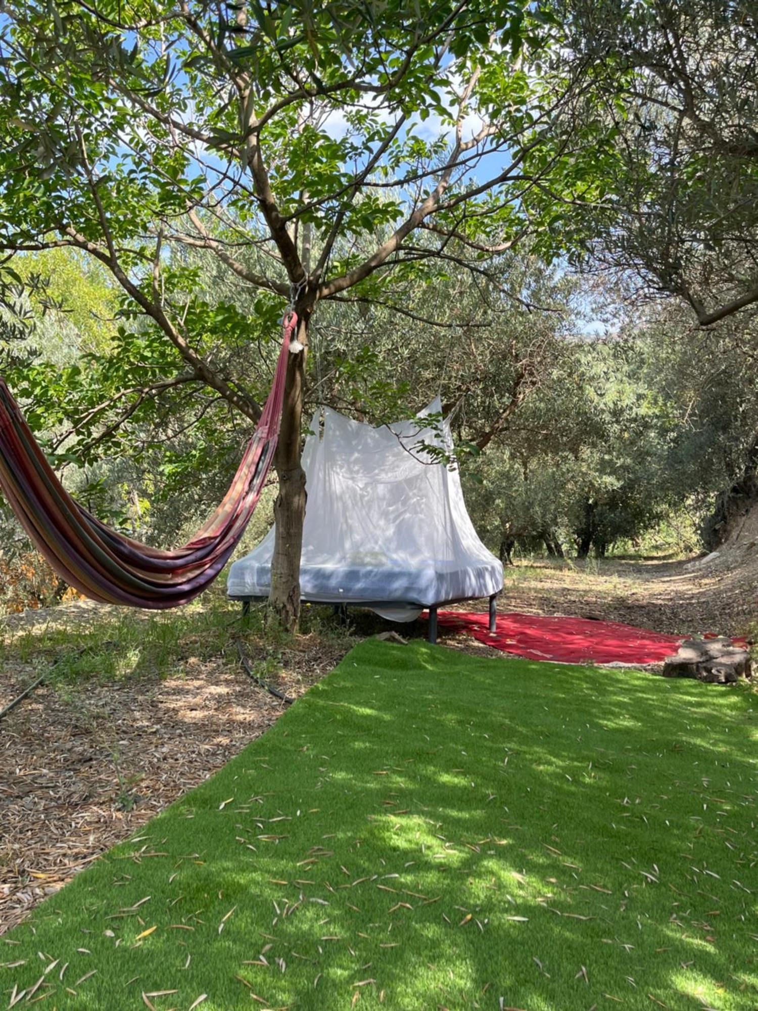 Cortijo Alhijra Big Yourte Lanjarón المظهر الخارجي الصورة
