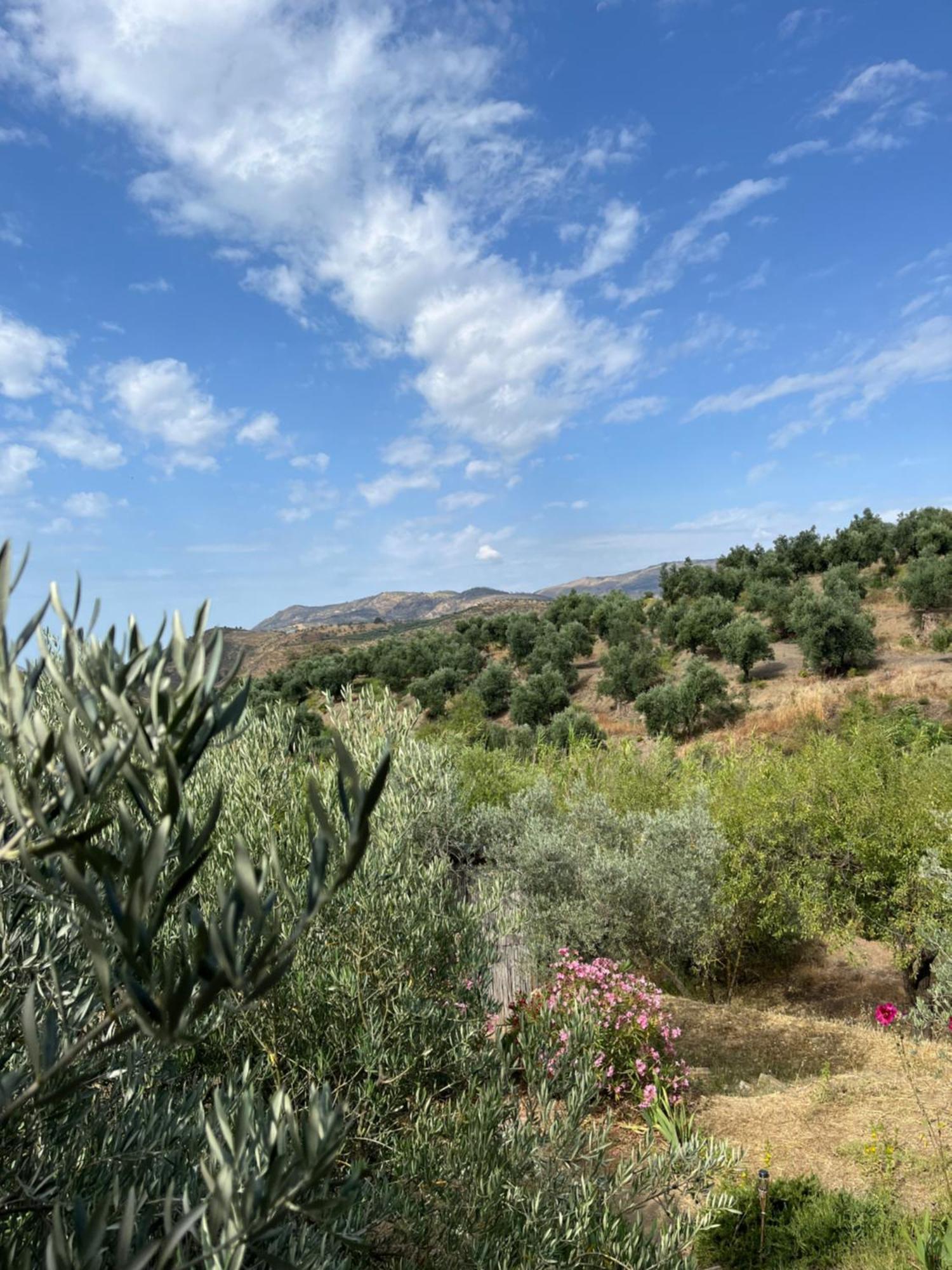 Cortijo Alhijra Big Yourte Lanjarón المظهر الخارجي الصورة