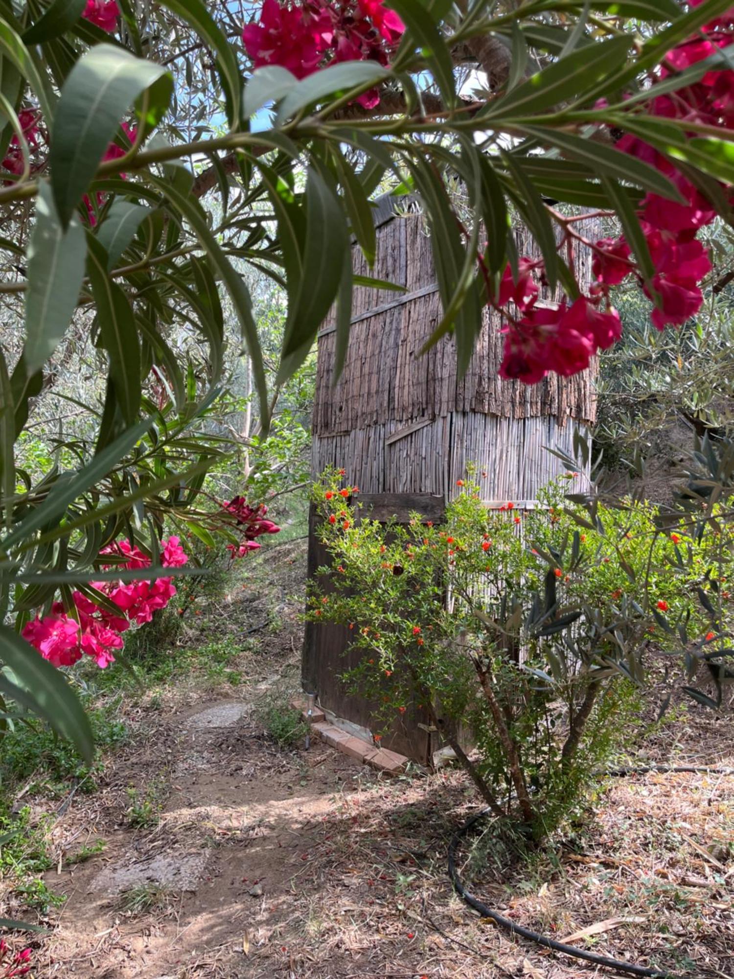 Cortijo Alhijra Big Yourte Lanjarón المظهر الخارجي الصورة
